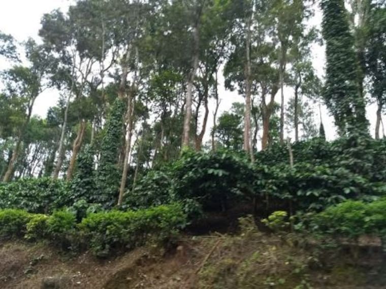 Kutta Village-4